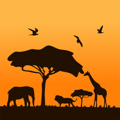 Fototapeta na wymiar silhouette of African savanna 