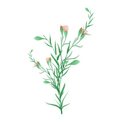 Vecto wild flowers vector illustration on white