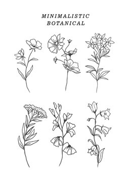 vector set of  minimalistic botanical flower elements black and white series