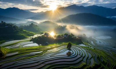 Foto op Canvas High panoramic view of beautiful green rice paddy fields in Asia. Stunning travel background © ink drop