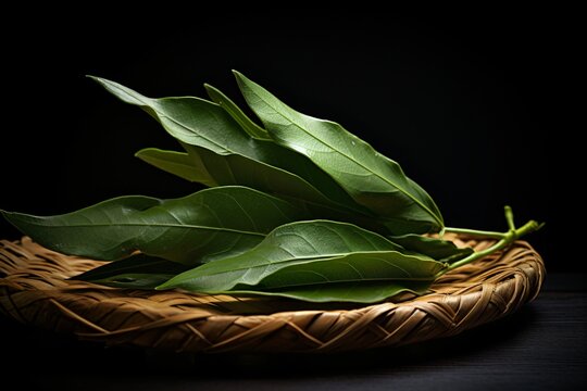 Curry leaves ingredients isolated