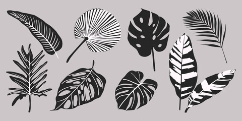 Set of hand drawn vector tropical leaves. Silhouettes of abstract branches in minimalistic flat style isolated. Natural elements for the design of patterns, ornaments