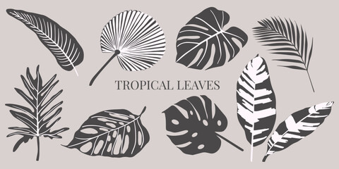 Fototapeta na wymiar Set of hand drawn vector tropical leaves. Silhouettes of abstract branches in minimalistic flat style isolated. Natural elements for the design of patterns, ornaments