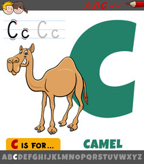 letter C from alphabet with cartoon camel animal character