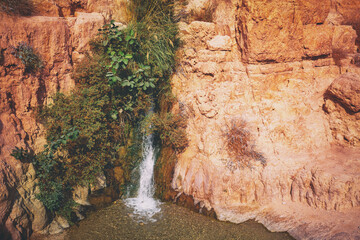 David waterfall in the Ein Gedi nature reserve. Israel