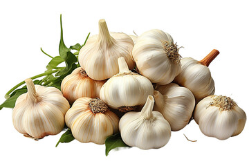 Fresh garlic isolated PNG Background. Generative Ai.