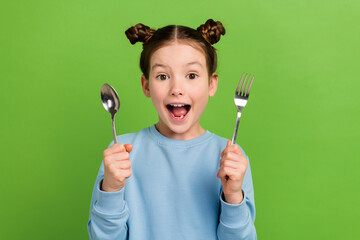 Portrait of impressed astonished little girl with brown buns hairstyle wear blue pullover hold...