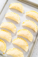 Turkey empanadas