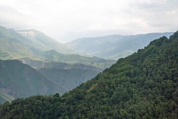 Caucasian mountain. Dagestan. Trees, rocks, mountains, view of the green mountains. Beautiful summer landscape.