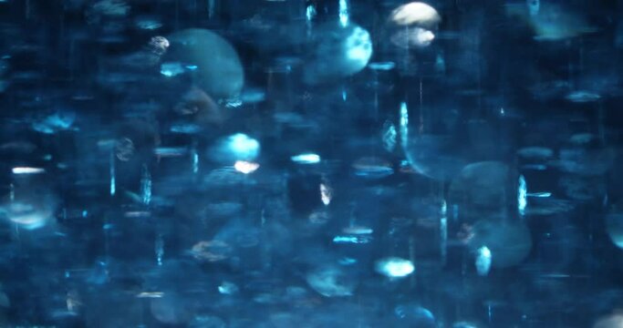 Beautiful shimmering blue lights bokeh light background. Shiny blue sequins