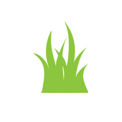 Green grass vector
