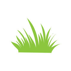 Green grass vector