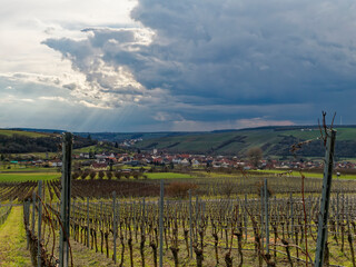 Fototapeta premium Landschaft und Weinberge bei Stammheim am Main, Landkreis Schweinfurt, Unterfranken, Franken, Bayern, Deutschland