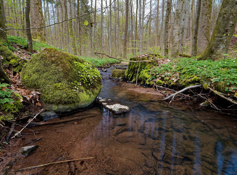 Landschaft im NSG Weilersbachtal im Naturpark Steigerwald, Gemeinde Rauhenebrach, Landkreis Ha&szlig;berge,  Landkreis Schweinfurt, Unterfranken, Franken,  Deutschland