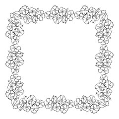 Square Floral vintage draw Frame vector illustration. Hand drawn phlox inflorescences. Floral border.