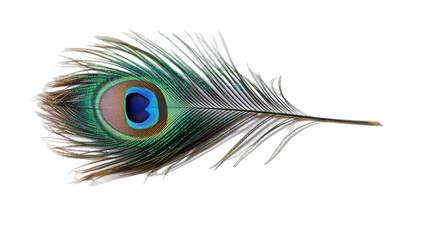 Peacock feather isolated on transparent background, Generative ai. - obrazy, fototapety, plakaty