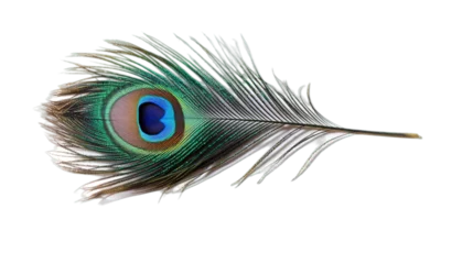 Foto op Canvas Peacock feather isolated on transparent background, Generative ai. © Jyoti