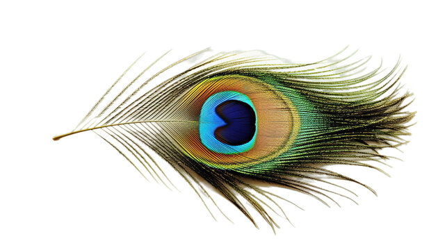 Peacock feather isolated on transparent background, Generative ai.