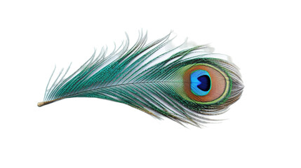 Obraz premium Peacock feather isolated on transparent background, Generative ai.
