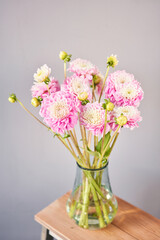 Pink dahlias in glass jug, neutral wall background. the work of the florist at a flower shop. Handsome fresh bouquet. Flowers delivery