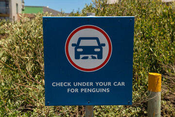 Road sign for African Penguin in Stony Point, South Africa