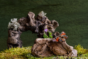 Ikebana. Bouquet, Flower arrangement. Butterfly and flowers.