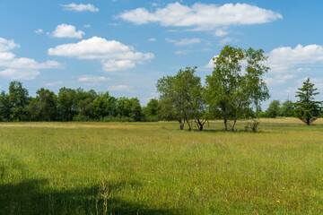 Landschaft im NSG „Hohe Rhön" zwischen Schwarzen Moor und Eisgraben, Biosphärenreservat Rhön, Unterfranken, Franken, Bayern, Deutschland