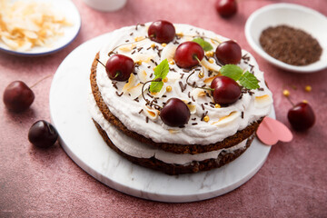 Homemade chocolate cake with coconut and cherry