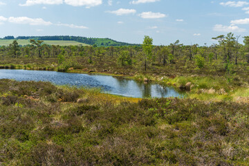 NSG Schwarzes Moor, Biosphärenreservat Rhön, Unterfranken, Franken, Bayern, Deutschland