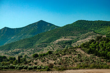Fototapeta na wymiar Mountain and maquis view over the fields.