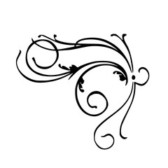 Abstract floral ornaments. Flower overlay. Shape and shapes. Graphic resource and backdrop. PNG