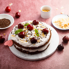Homemade chocolate cake with coconut and cherry