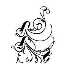 Abstract floral ornaments. Flower overlay. Shape and shapes. Graphic resource and backdrop. PNG