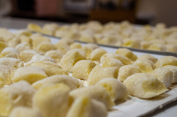 Homemade gnocchi with eggs and flour. traditional Italian recipe