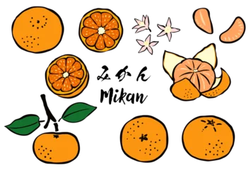 Fotobehang 和風の筆タッチの柑橘類フルーツ_みかん © kuromily