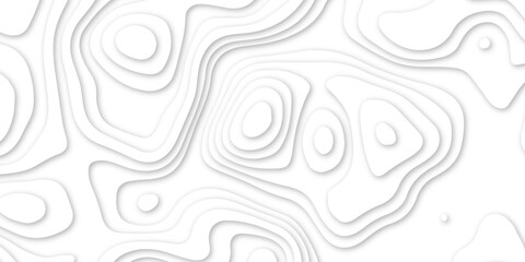 Abstract paper cut out background texture design. Topographic canyon geometric map relief texture with curved layers and shadow .curved lines textile concept waves floral backdrop .