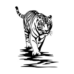design elements of tiger vector illustrations, icon on white background.