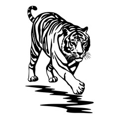 design elements of tiger vector illustrations, icon on white background.
