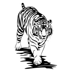 design elements of tiger vector illustrations, icon on white background.