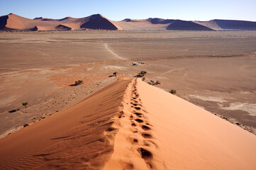 Fototapeta na wymiar Landscape photographed from a dune in the Namib Desert.