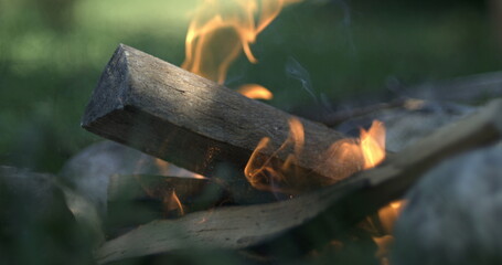 Piece of wood falling into fire camp, feeding small bonfire creating spark and flames, captured