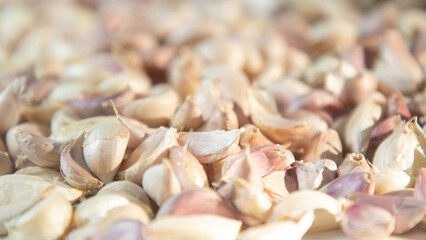 Lots of garlic with purple skin on a white crate background