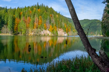 Red lake in autumn, natural dam lake, Romania