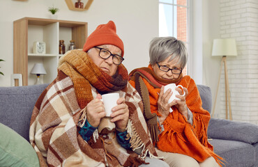 Portrait of a senior couple man and woman in glasses looking at camera sitting on sofa at home wrapped in a blanket and trying to warm with a cup of hot tea. Heating problems concept.