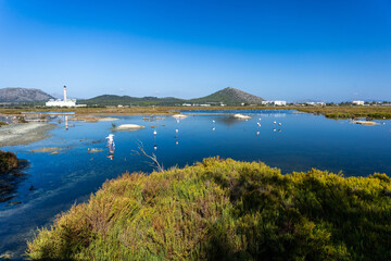 National Park S'Albufera Mallorca, Majorca, Spain