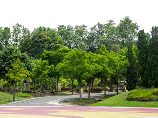 Outdoor park and shady trees providing shade on a transparent background.