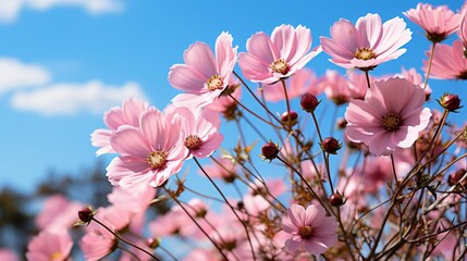 A group of pink flowers. Generative AI.