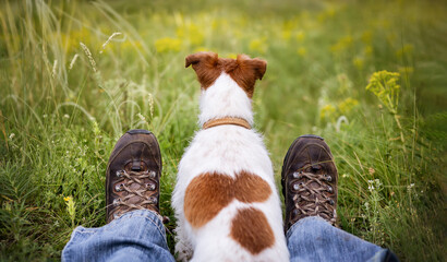 Happy dog sitting with her owner in the grass. Pet walking, outdoor hiking and travel banner.