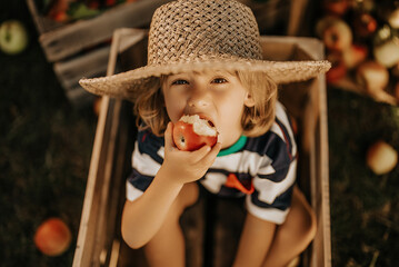 Funny little child bites juicy apple,sitting in wooden box garden.Organic fruits