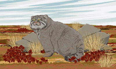 Manul in the summer tundra. Wildlife of Asia. Realistic vector landscape